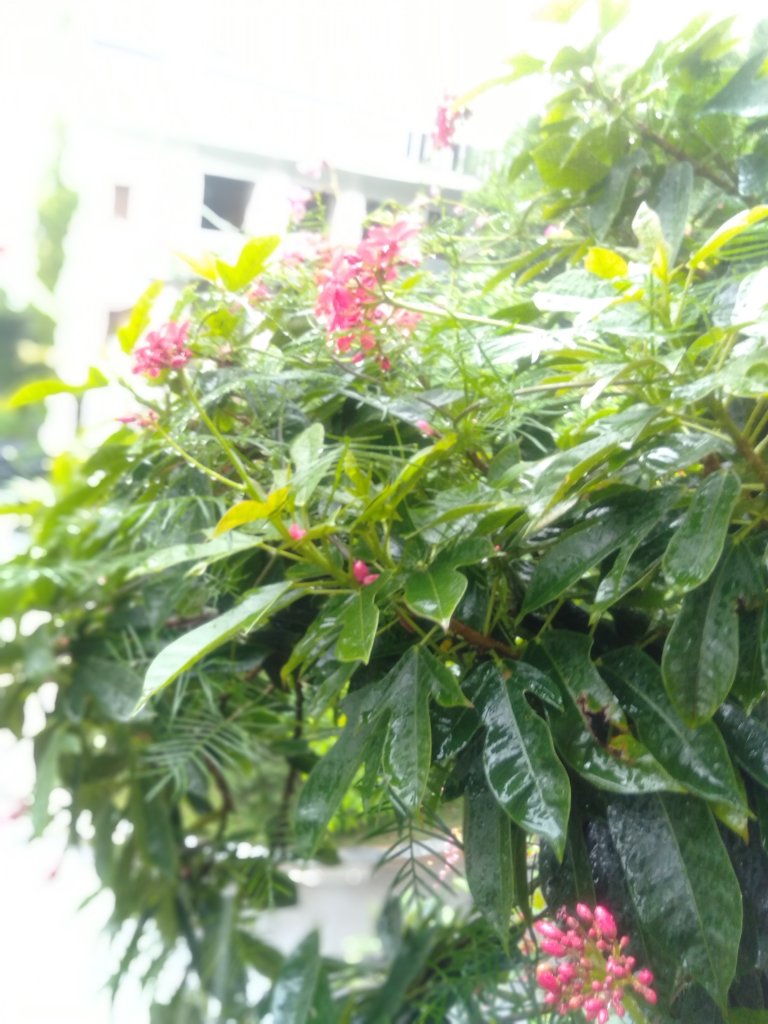 IMG20250827103641.jpg
