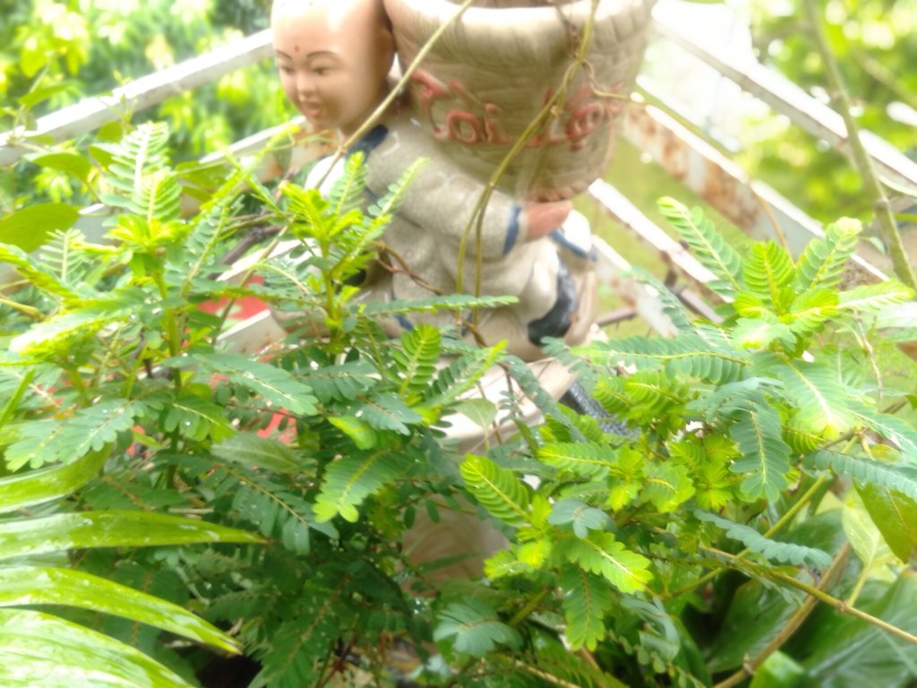 IMG20250827103408.jpg