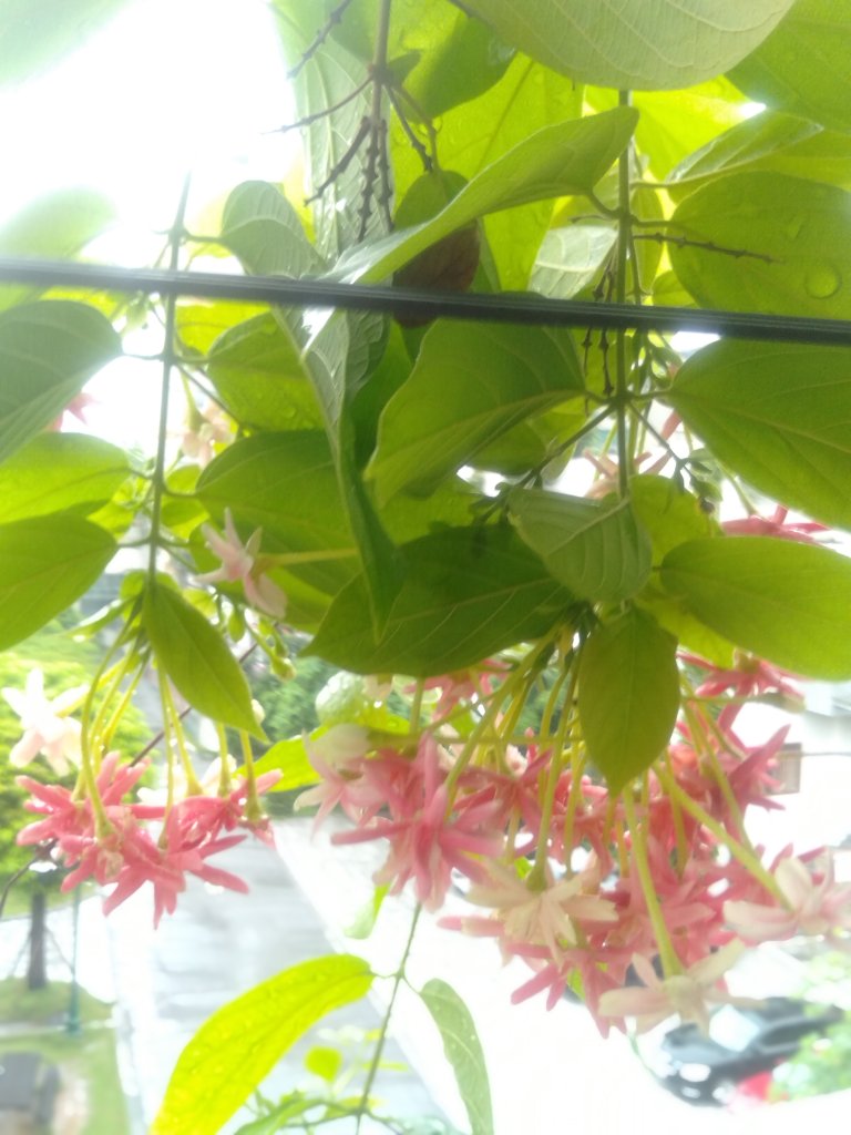 IMG20250827103145.jpg