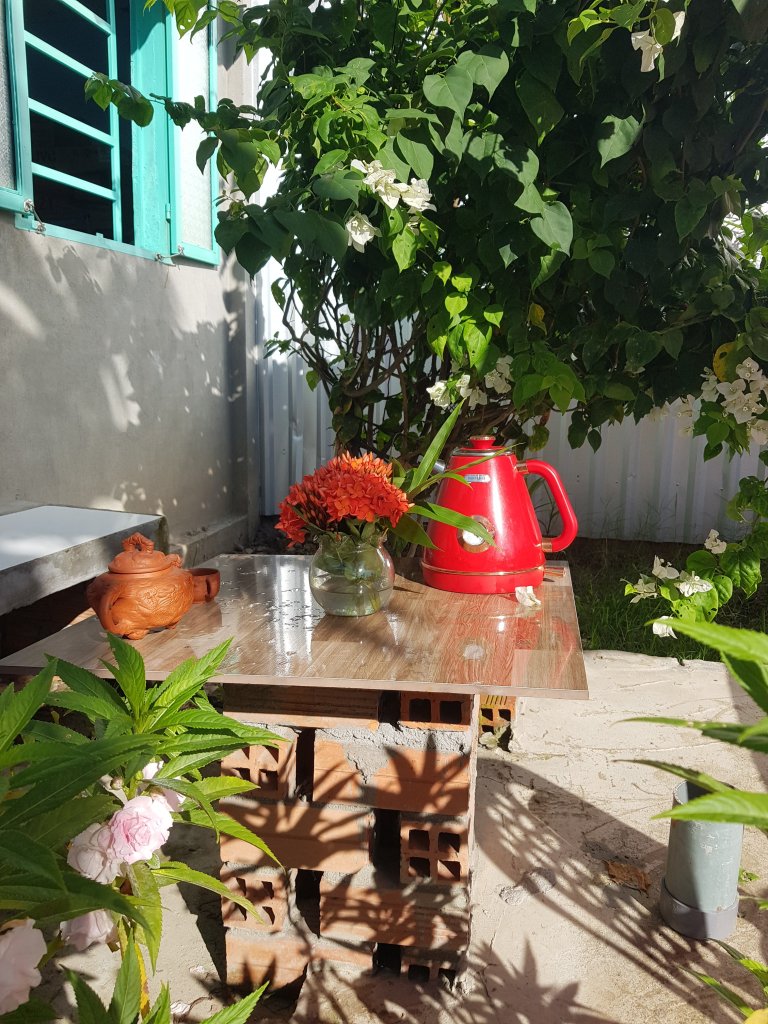 20250822_075409.jpg