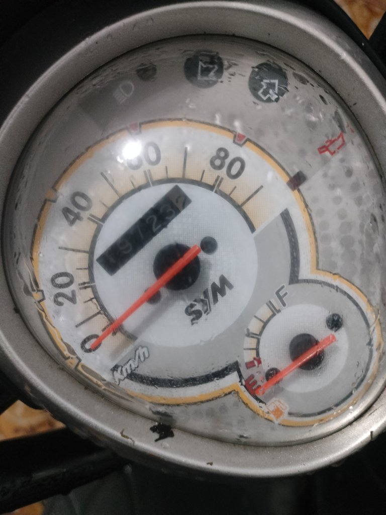 1000007461.jpg