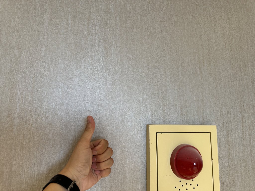 F8776AB1-51B3-4E40-B8B4-1C95404B1F47.jpeg