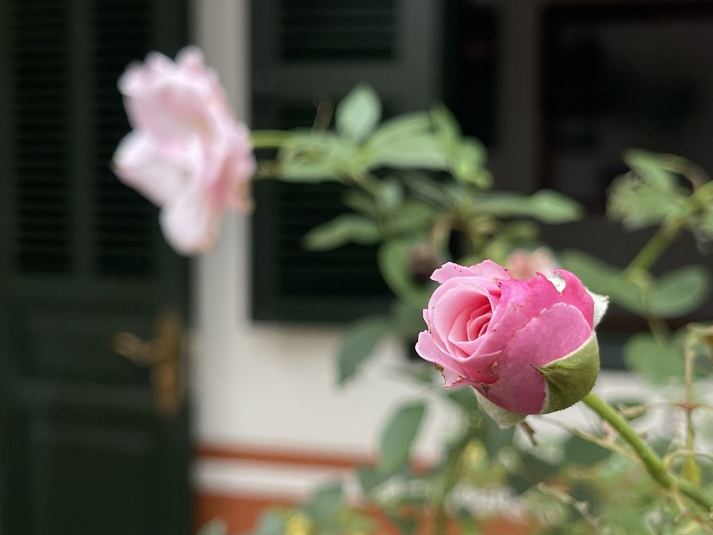 IMG_4497.jpeg