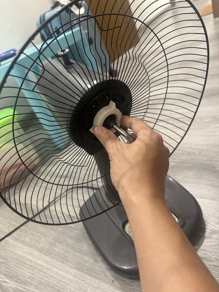 IMG_5106.jpeg