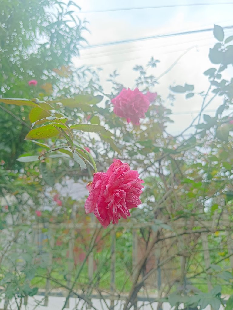 IMG_20250829_171110.jpg