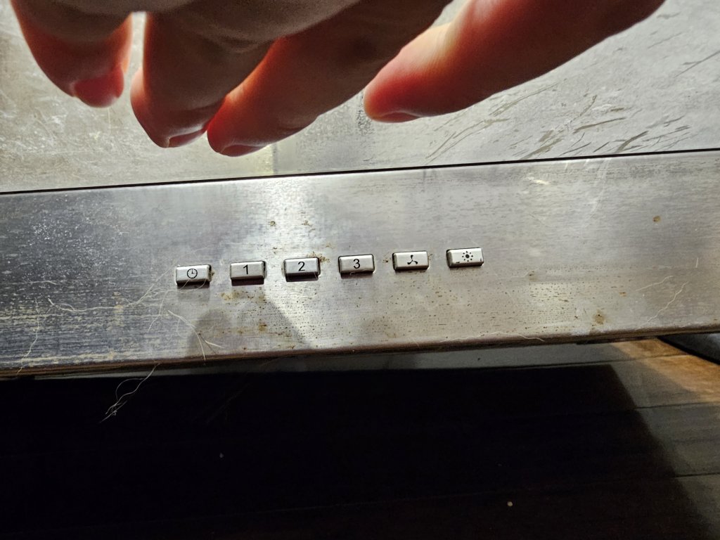 1000020246.jpg