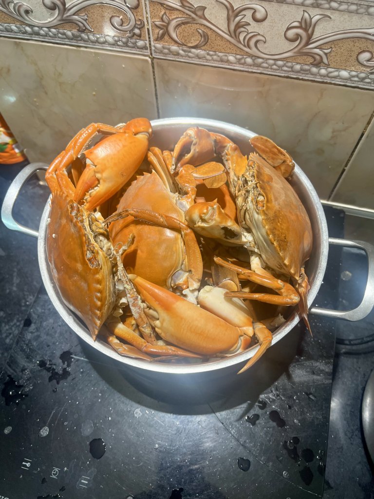 IMG_0976.jpeg