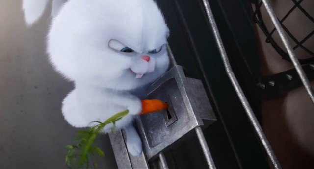 dan-mang-phat-sot-vi-chu-tho-cuc-nhang-trong-trailer-the-secret-life-of-pets.jpg