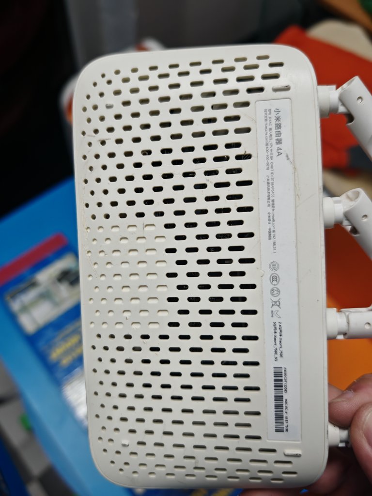 1000018394.jpg