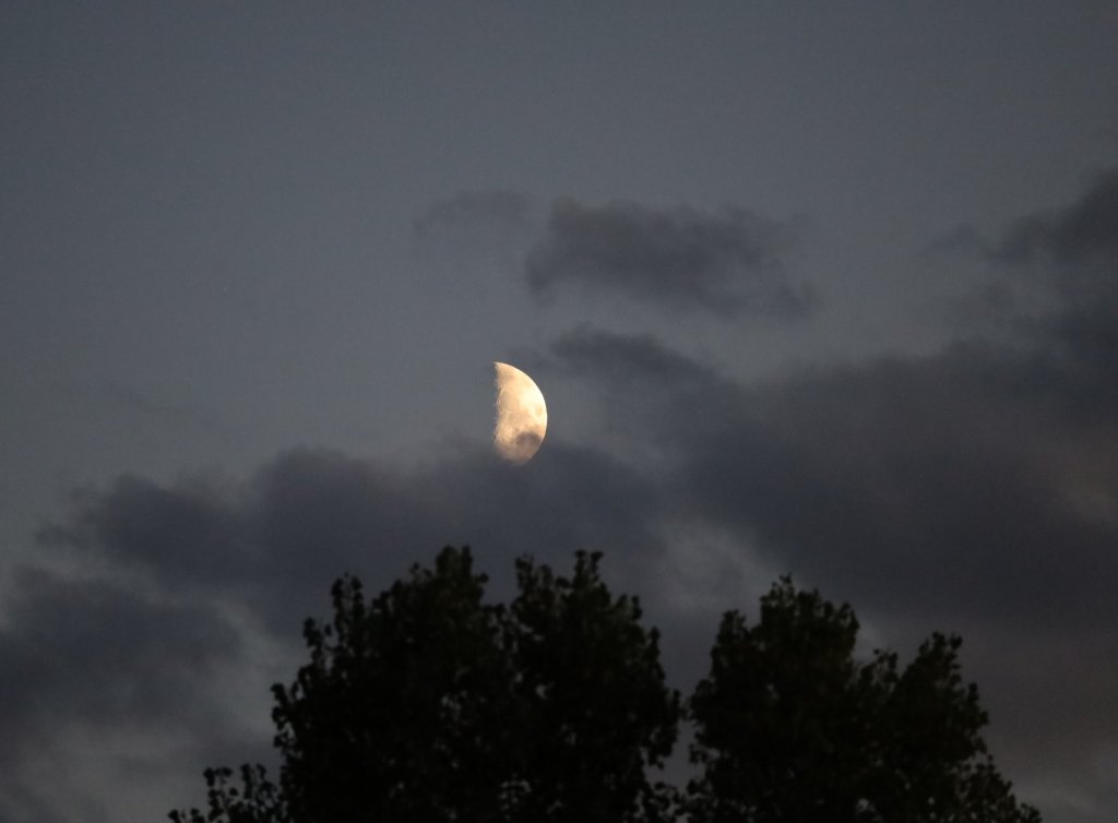 20250830_233453.jpg