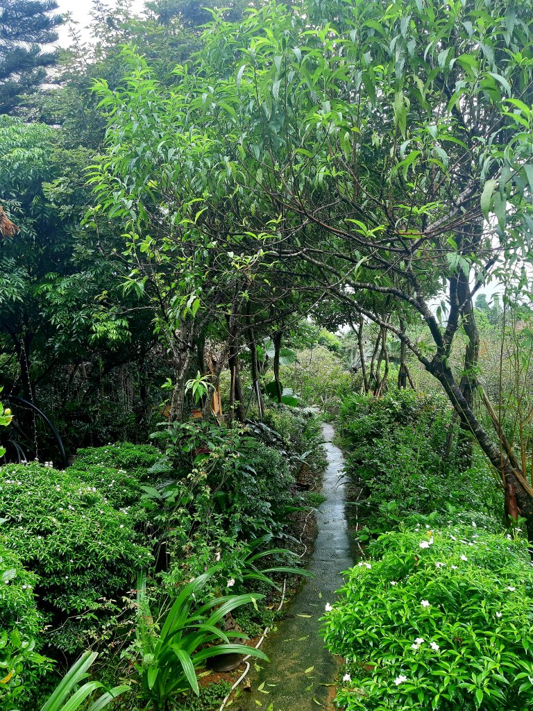 20250831_115921.jpg