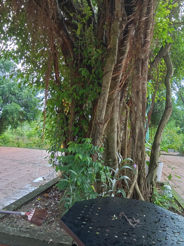 IMG20250901082645.jpg