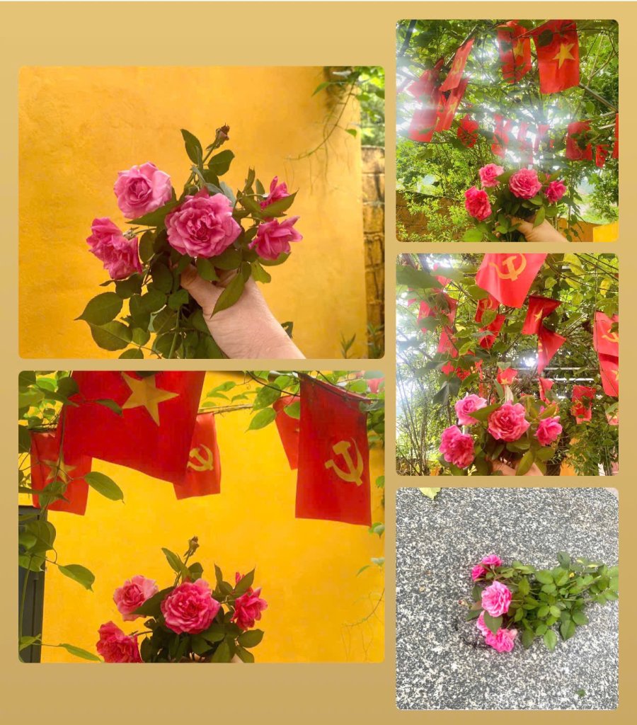 45CC8F3D-DA99-4C73-911A-8F55D6D58615.jpeg