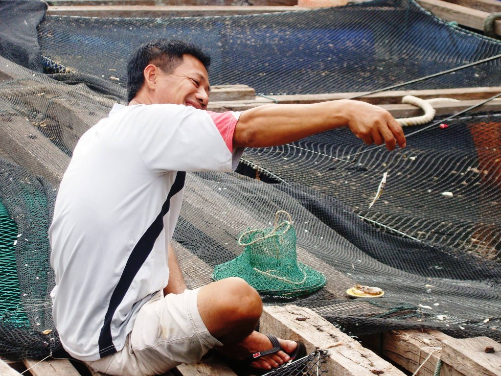 Câu cá dìa 1_Lan  Hạ 2014.jpg