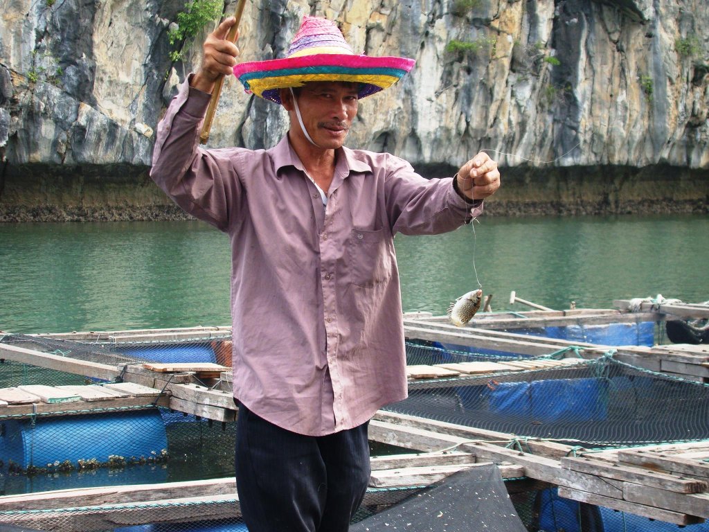 Câu cá dìa_Lan  Hạ 2014.jpg