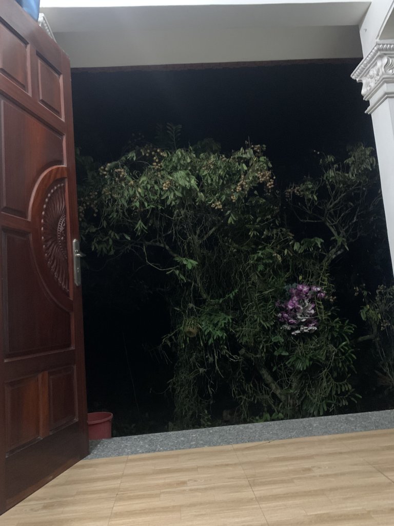 IMG_0892.jpeg