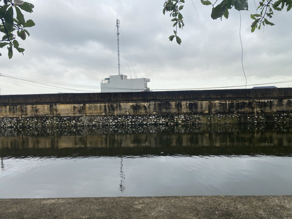 IMG_2199.jpeg
