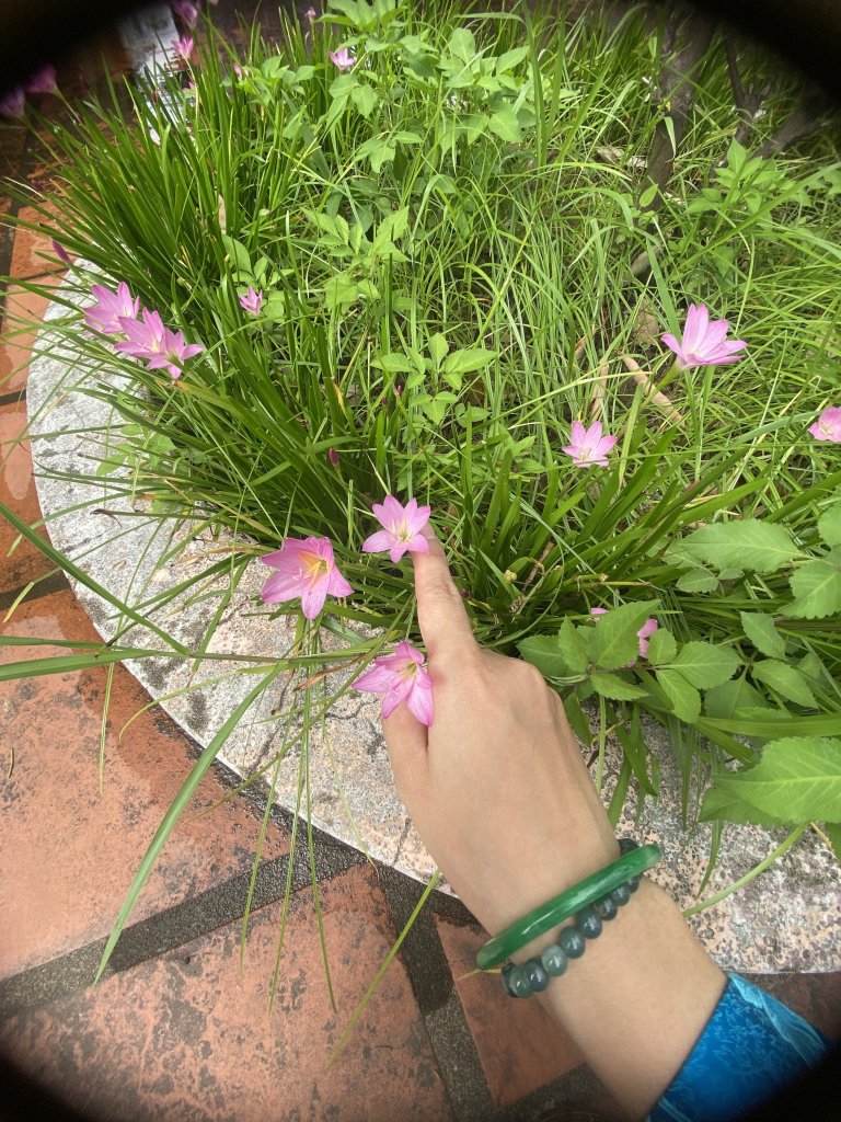 IMG_2218.jpeg