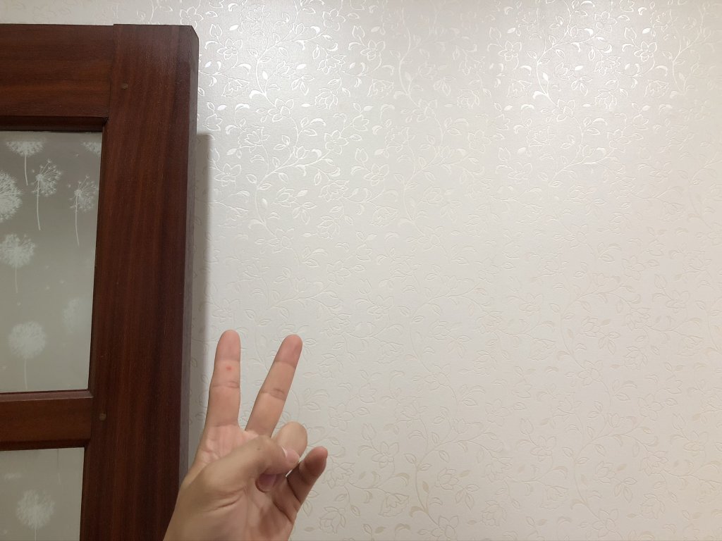 A353C2B6-8353-40E9-B38D-37F00580E0D7.jpeg