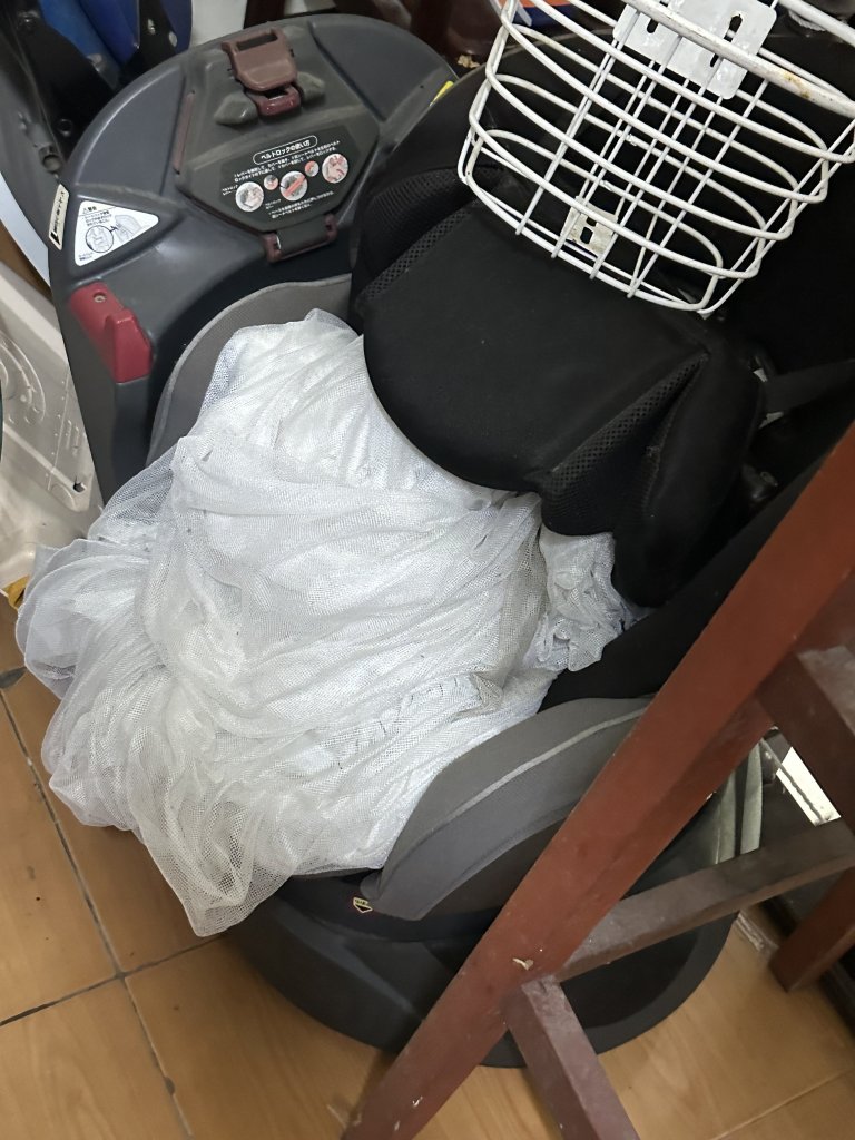 IMG_3973.jpeg