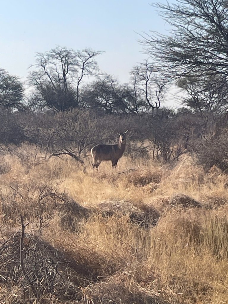 IMG_6919.jpeg