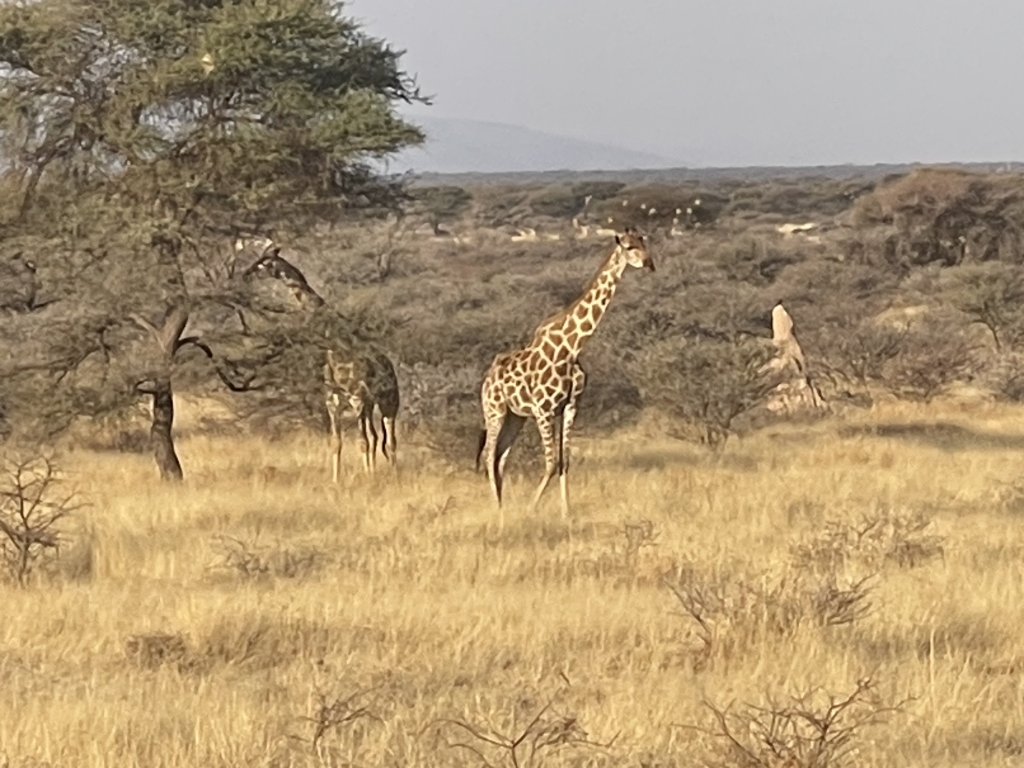 IMG_6091.jpeg