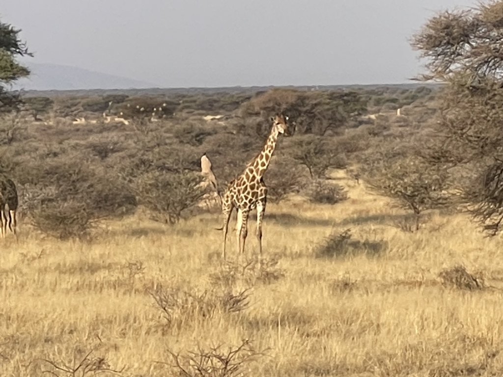 IMG_6093.jpeg