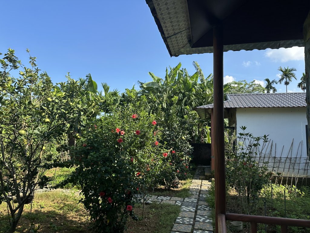 IMG_4710.jpeg