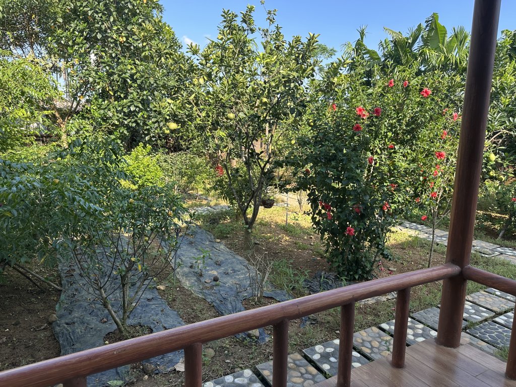 IMG_4709.jpeg