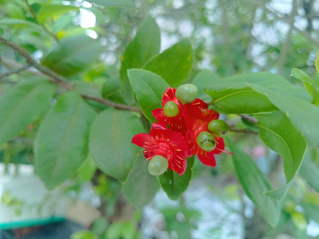 IMG_20250903_165940.jpg