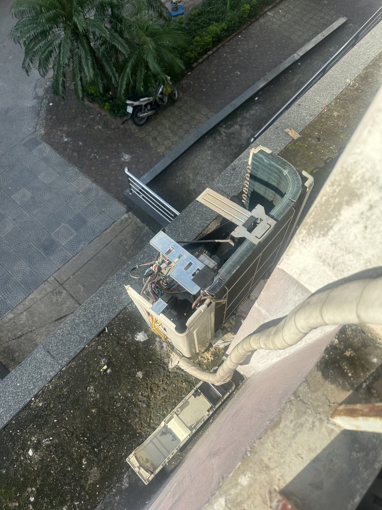 IMG_9786.jpeg