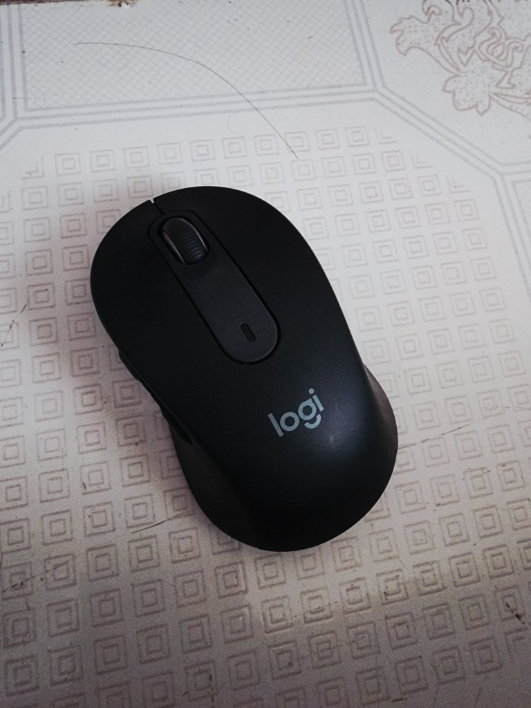 1000018905.jpg