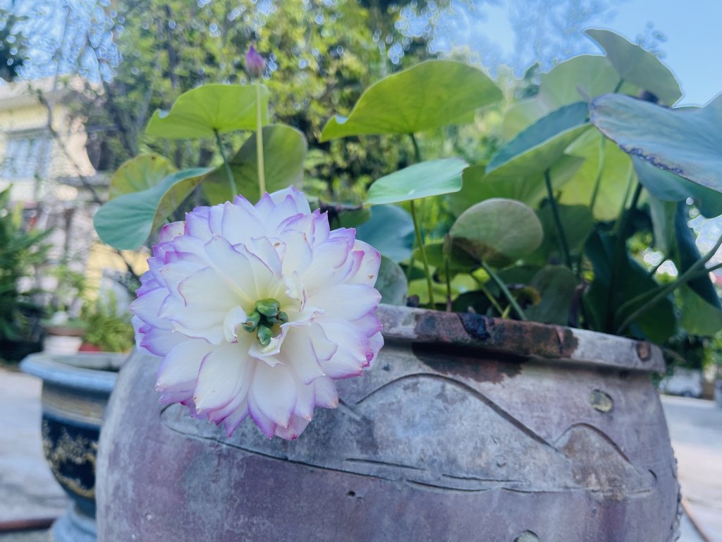 IMG_5136.jpeg
