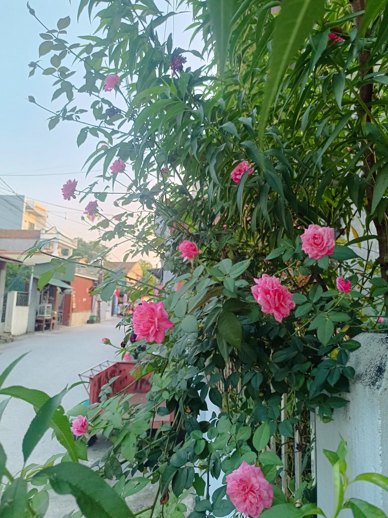 IMG_20250904_173434.jpg
