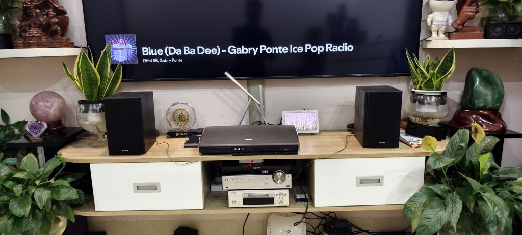 sony 2.jpg