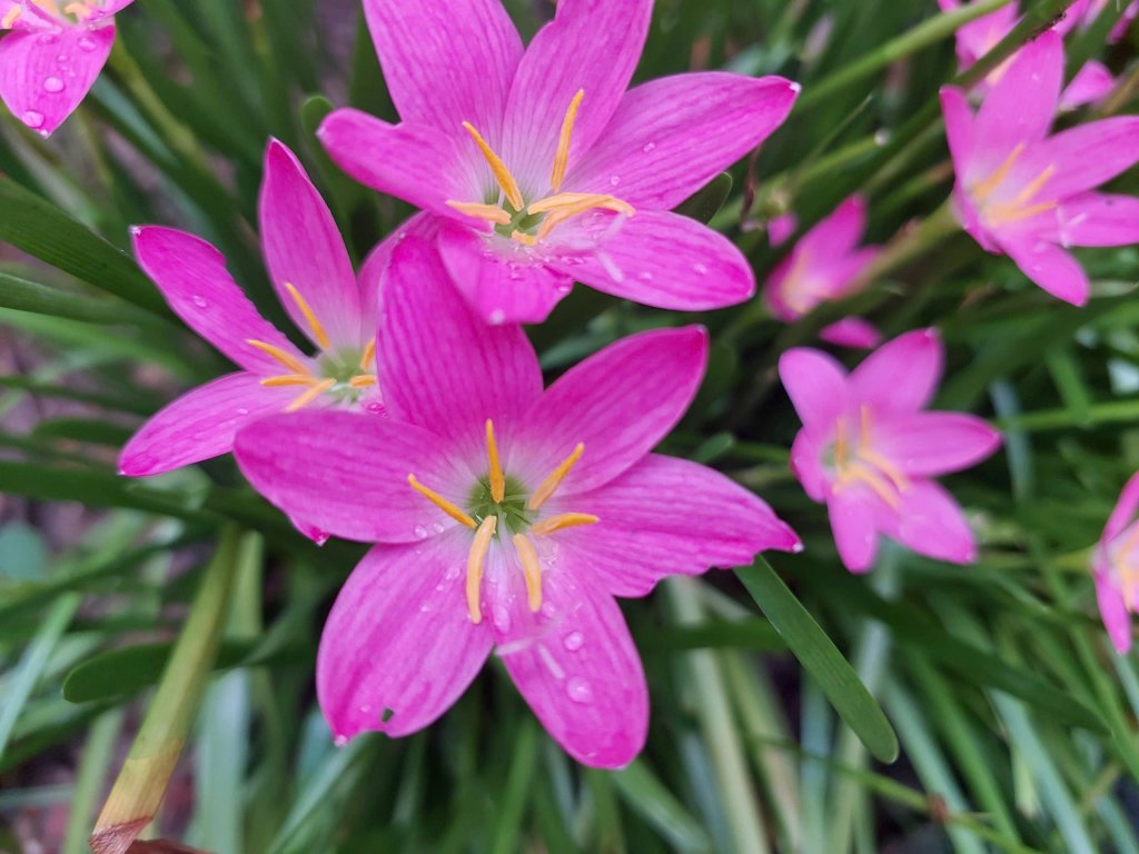 4a7964901f51940fcd40.jpg