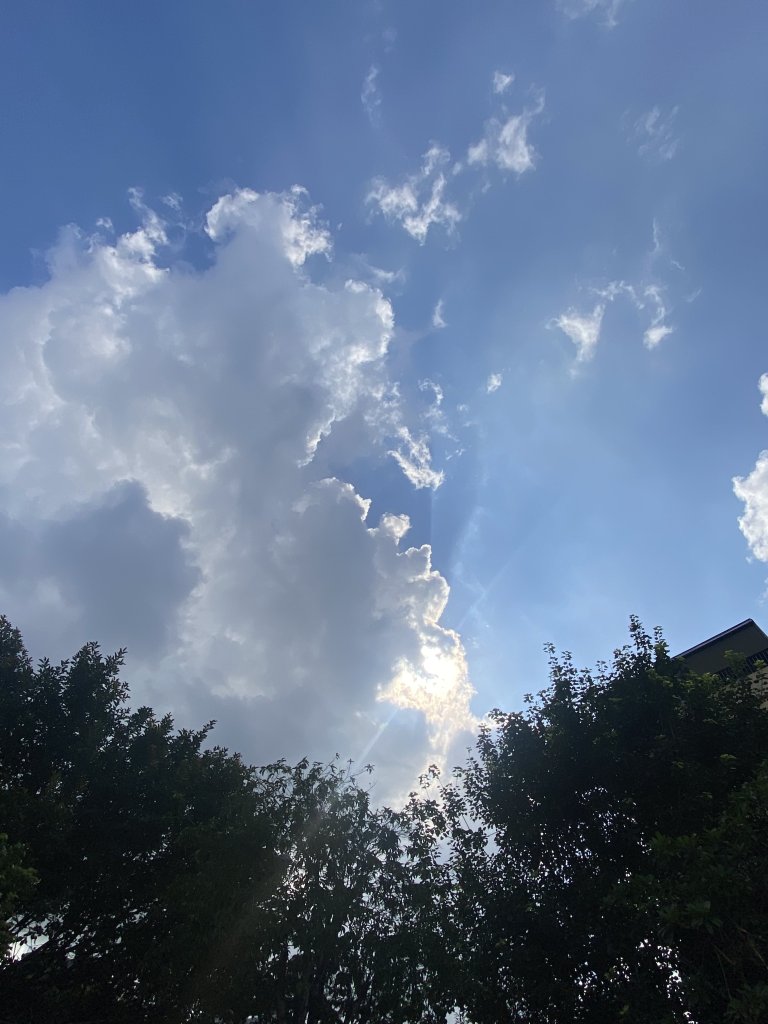 13FF8225-CC29-4F45-8208-74BA9F494339.jpeg