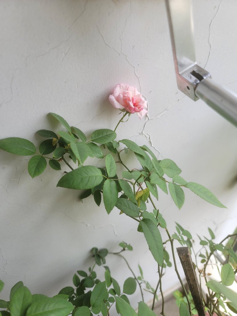 20240102_125551.jpg