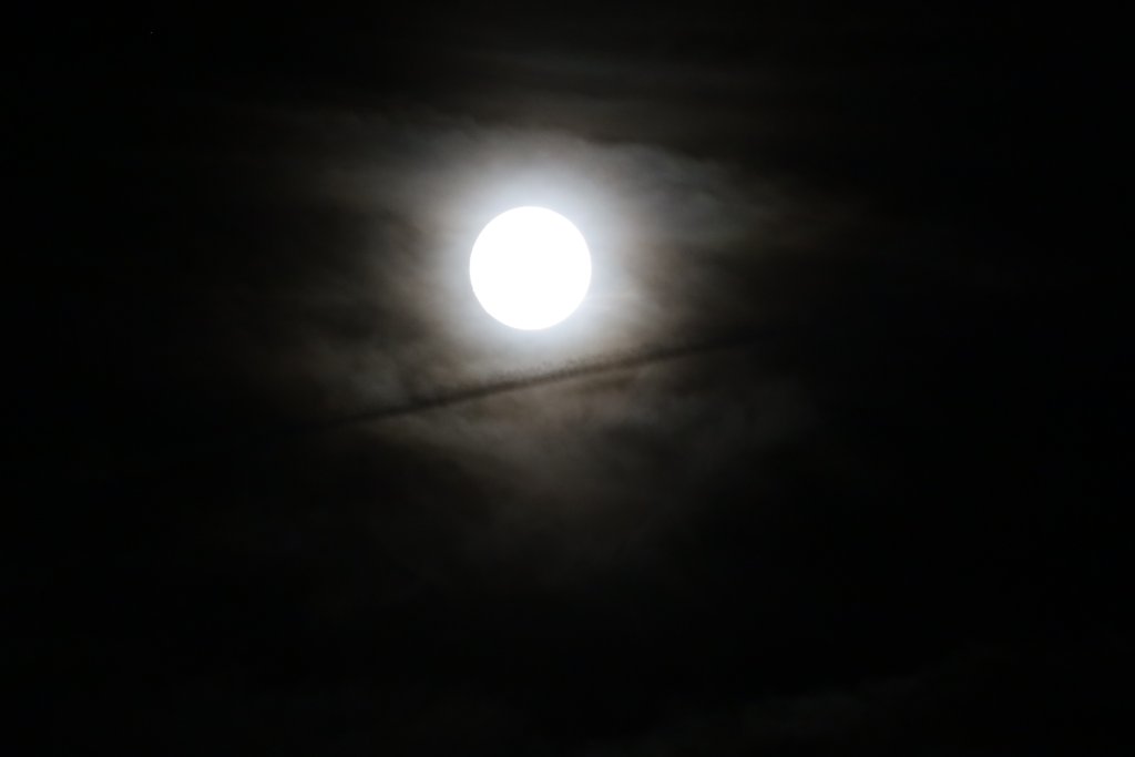 20250906_230656.jpg