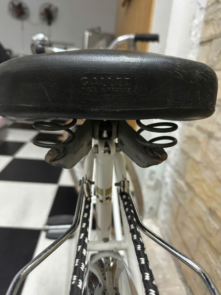 1000020026.jpg