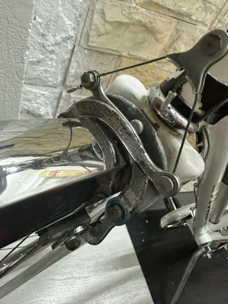 1000020022.jpg
