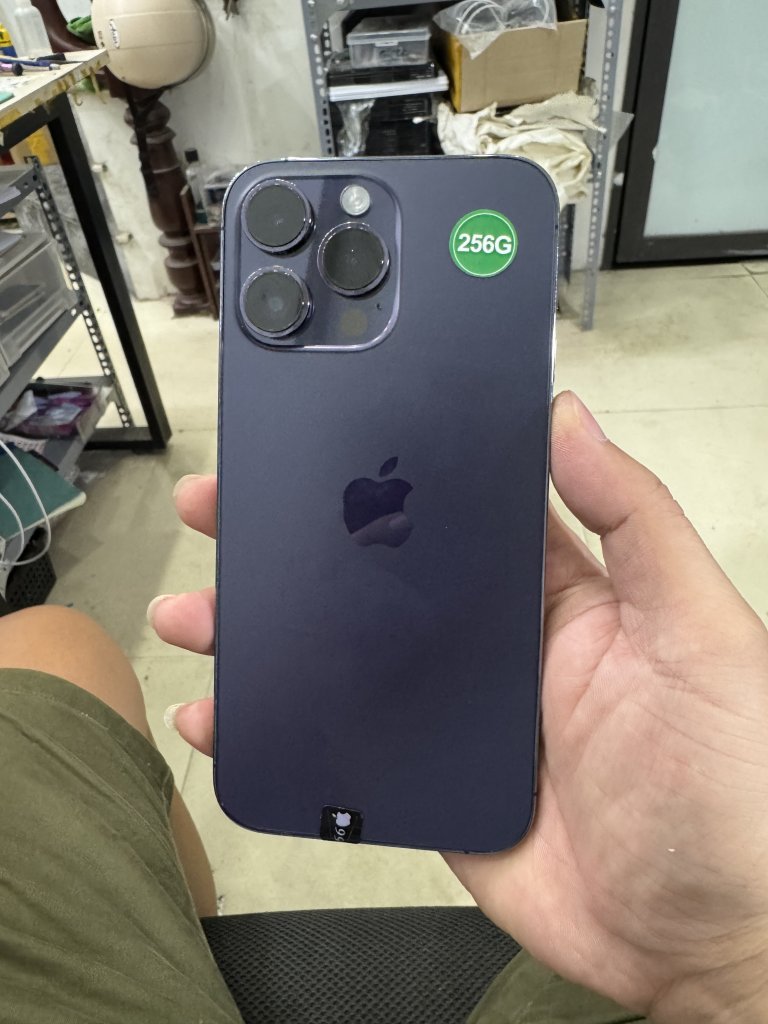 IMG_4263.jpeg