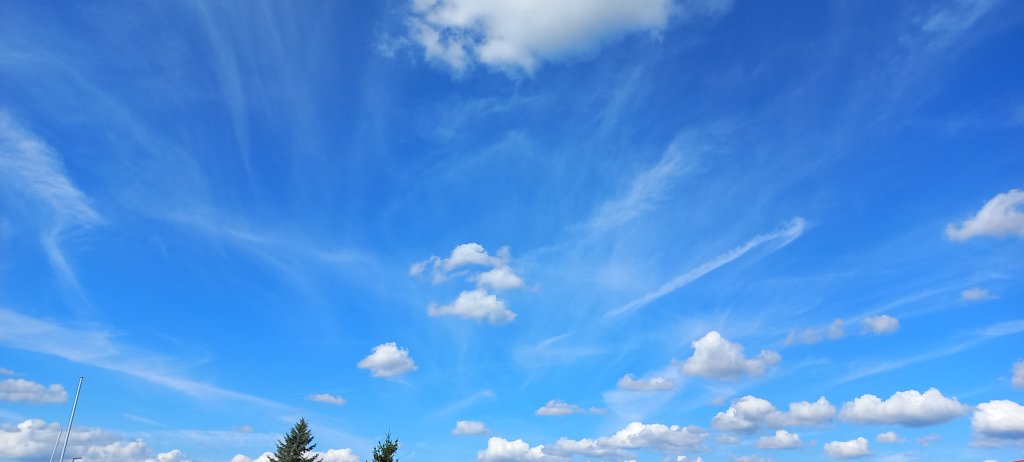 20250906_134958.jpg