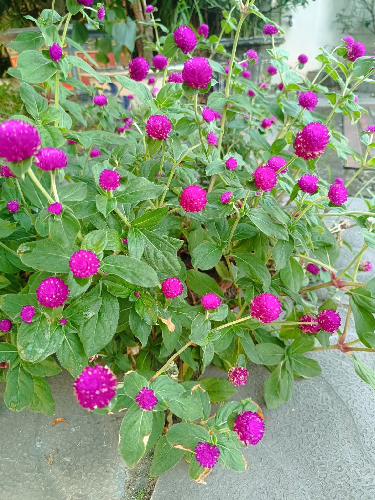 IMG_20250904_175649.jpg