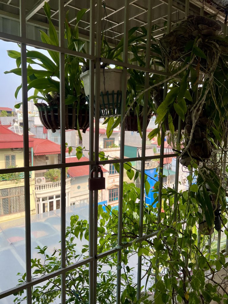 IMG_1098.jpeg