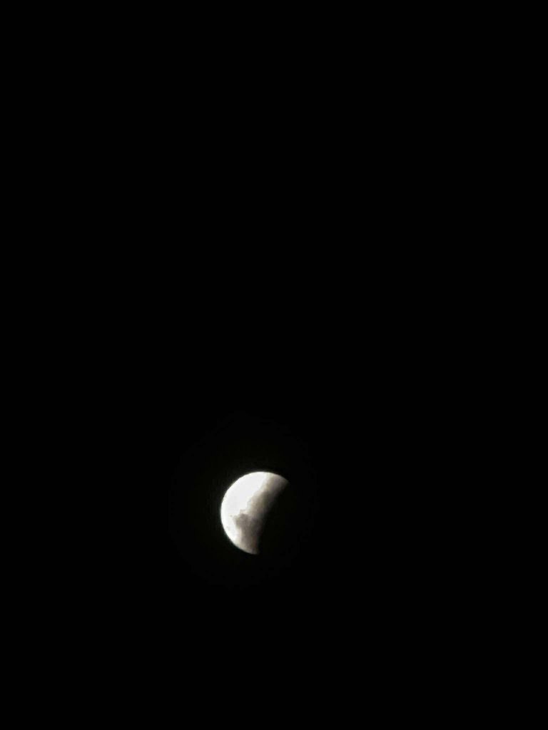 IMG_1879.jpeg