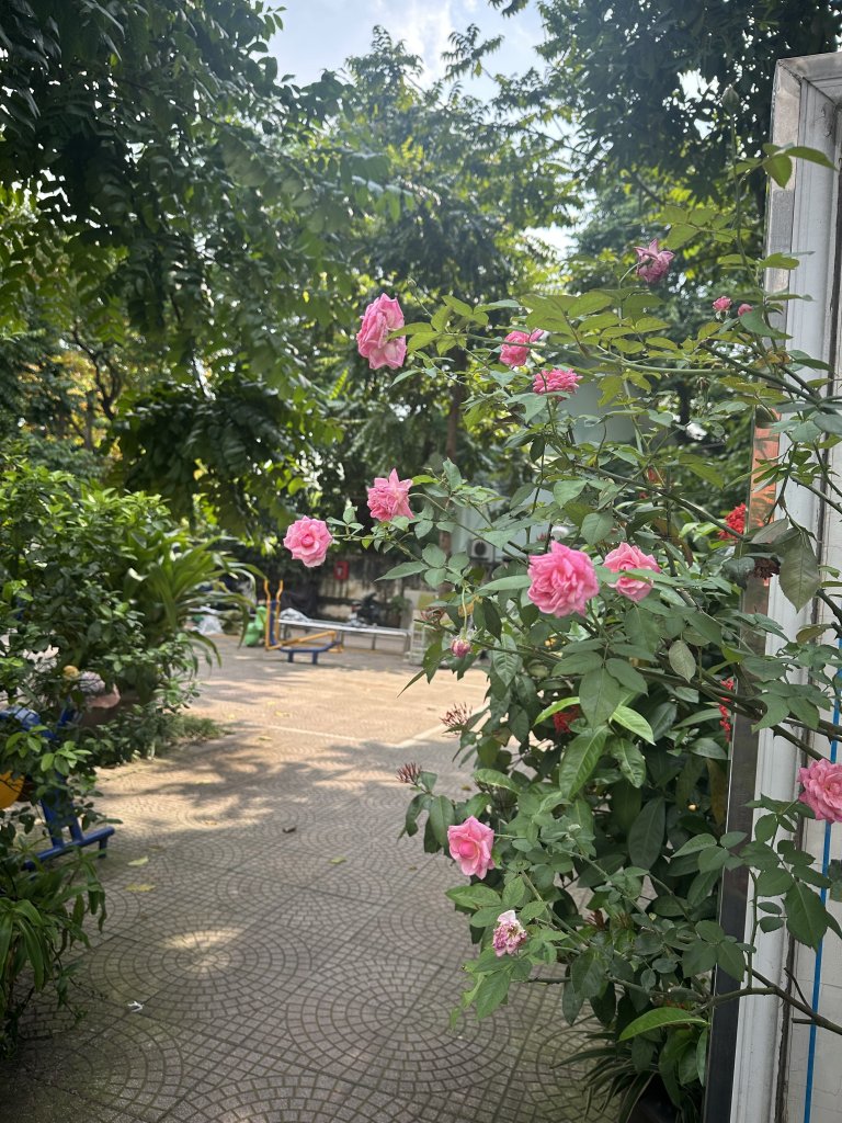 IMG_3842.jpeg