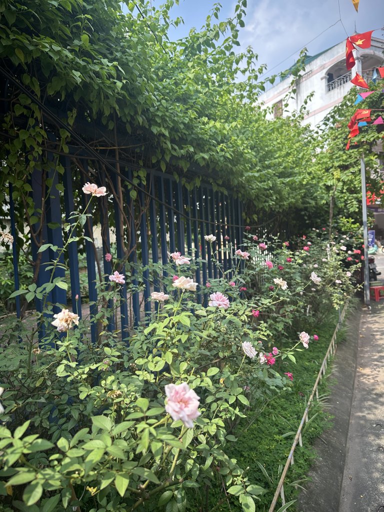 IMG_3841.jpeg