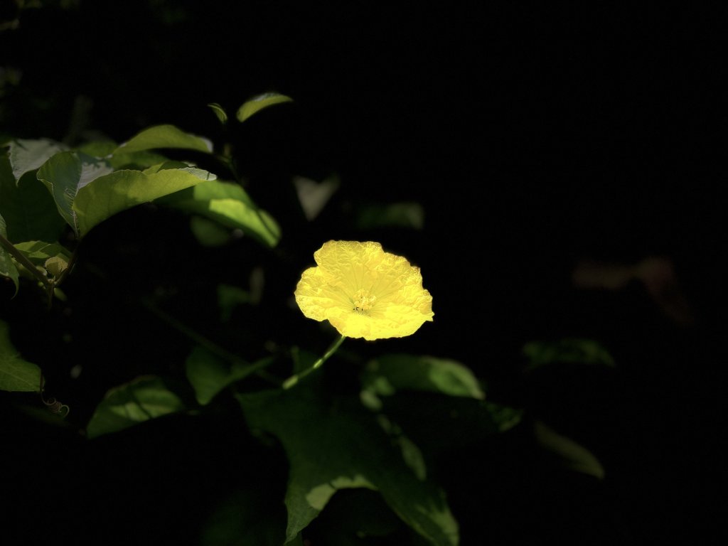 IMG_3366.jpeg