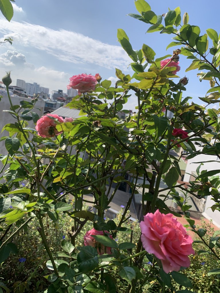 IMG_1892.jpeg
